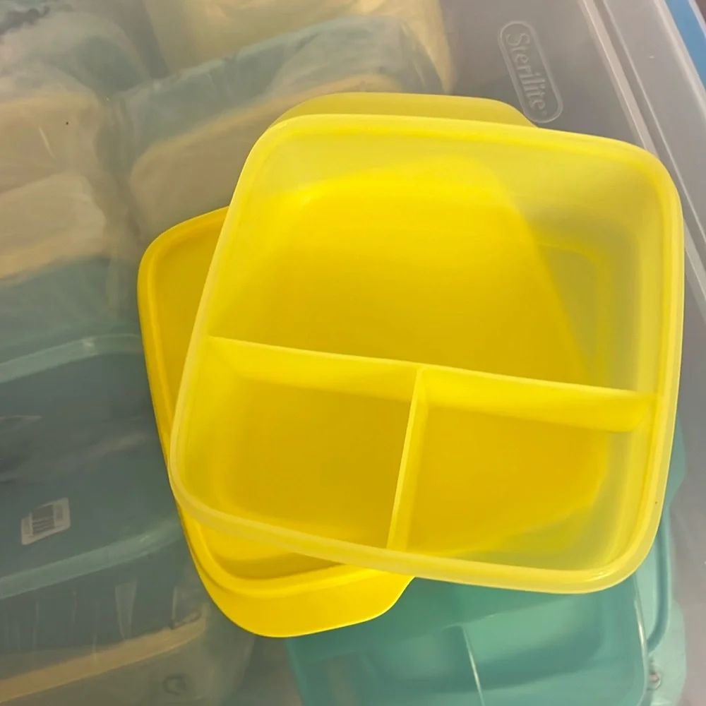 New from Tupperware Perfect lunchbox food storage container